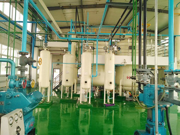 Peony seed oil equipment